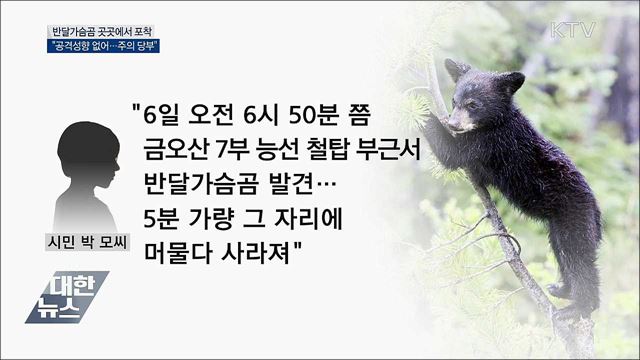 반달가슴곰 구미서도 발견···&#34;공격 성향 없어요&#34;