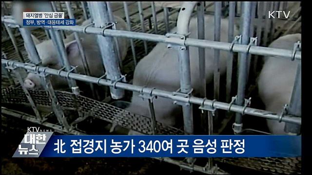 &#39;안심 금물&#39;···돼지열병 예방방역 전국 확대