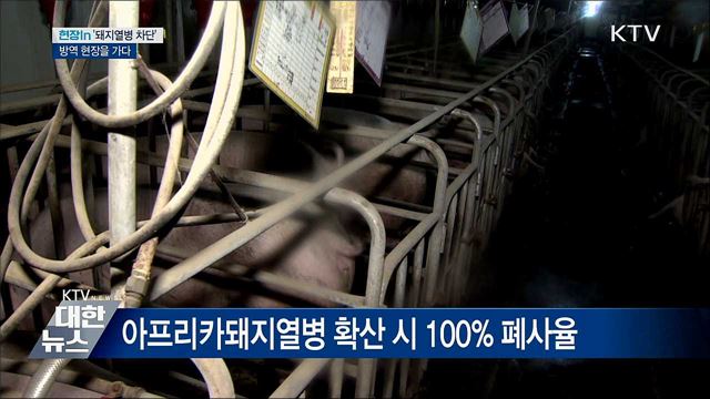 "돼지열병 막아라"···'총력 방역' 현장을 가다 [현장in]