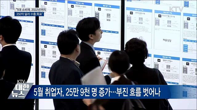&#34;5대 소비재 수출액, 2022년 350억 달러 목표&#34;