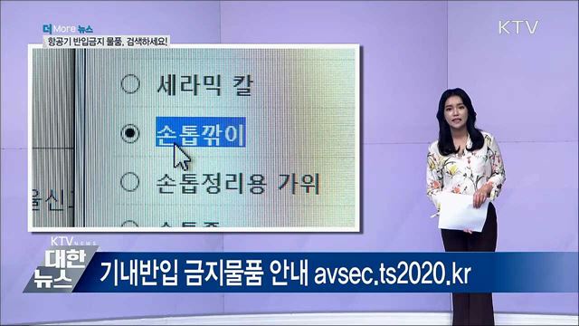 비행기 탈 때 반입금지 물품, 미리 검색하세요!
