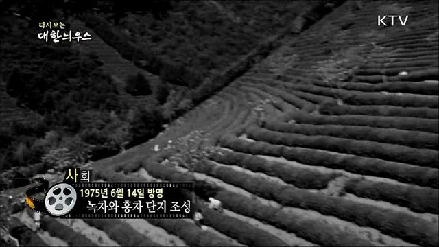 다시보는 대한늬우스 (75. 6. 14) 이미지
