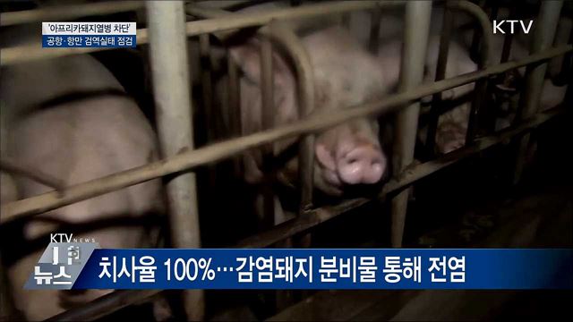 &#39;아프리카돼지열병 차단&#39;···공항·항만 검역실태 점검
