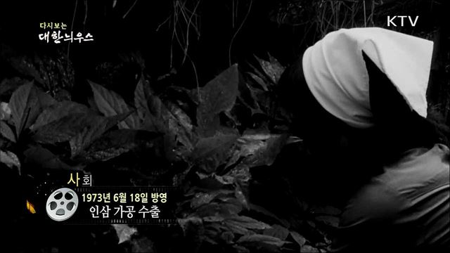 다시보는 대한늬우스 (73. 6. 18) 이미지