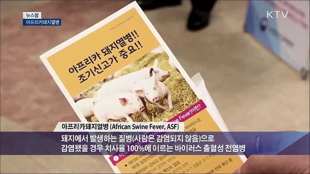 아프리카돼지열병 [뉴스팜]