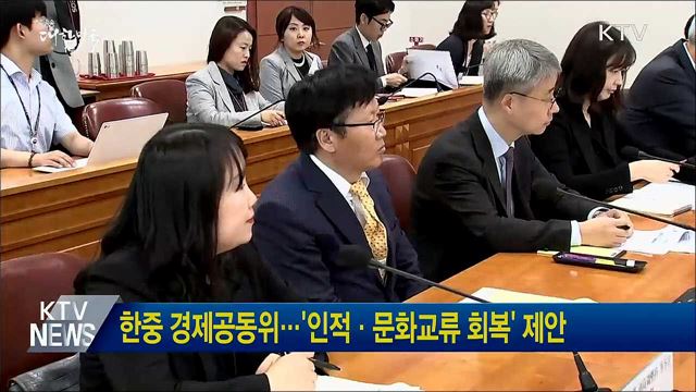 한중 경제공동위···&#39;인적·문화교류 회복&#39; 제안