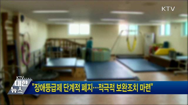 "장애등급제 단계적 폐지···적극적 보완조치 마련"