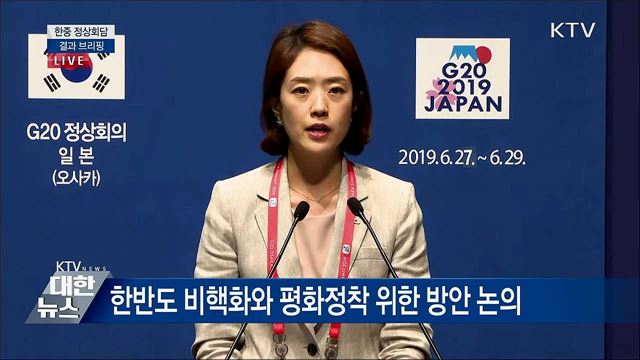 한중 정상회담 결과 브리핑