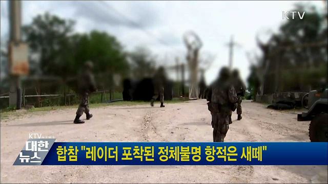 합참 &#34;레이더 포착된 정체불명 항적은 새떼&#34;