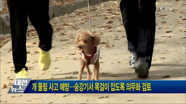 개 물림 사고 예방···승강기서 목걸이 잡도록 의무화 검토