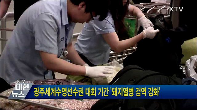 광주세계수영선수권 대회 기간 &#39;돼지열병 검역 강화&#39;