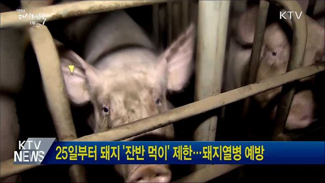 25일부터 돼지 &#39;잔반 먹이&#39; 제한···돼지열병 예방