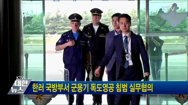 한러 국방부서 군용기 독도영공 침범 실무협의