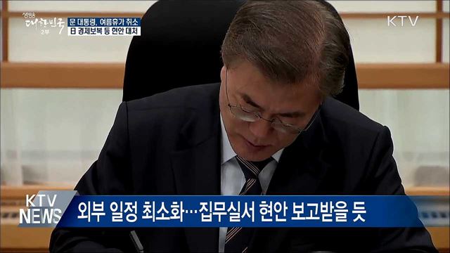 문 대통령, 여름휴가 취소···日 경제보복 등 대처