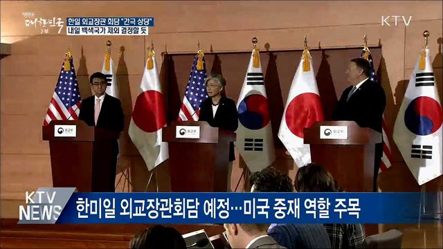 "한일 간극 상당"···내일 백색국가 제외 결정할 듯
