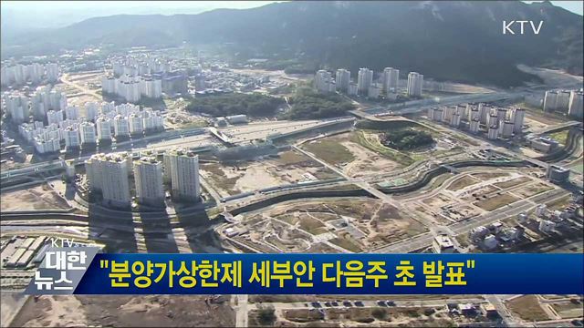 &#34;분양가상한제 세부안 다음주 초 발표&#34;