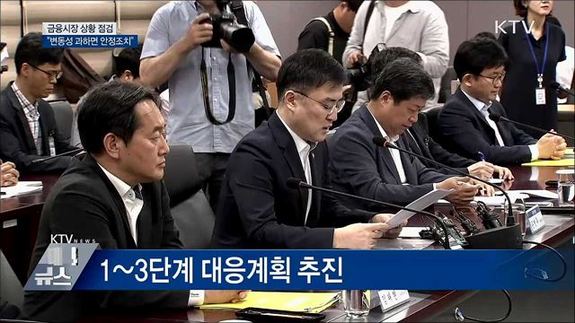 금융시장 상황 점검···&#34;변동성 확대되면 과감한 안정조치&#34;