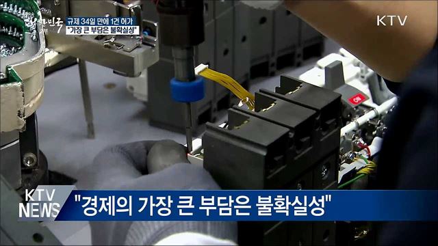 34일 만에 1건 허가···&#34;가장 큰 부담은 불확실성&#34;