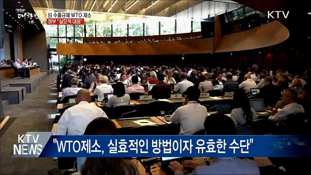 日 수출규제 WTO 제소···&#34;실효적 대응&#34;