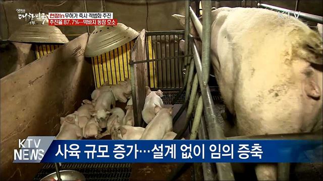 무허가 축사 &#39;제로화&#39;···적법화 절차 착착 [현장in]