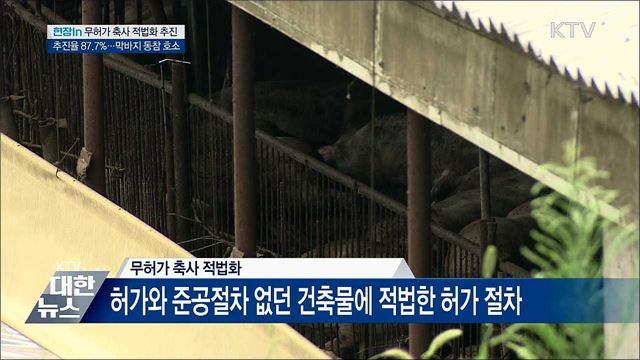 무허가 축사 '제로화'···적법화 절차 착착 [현장in]