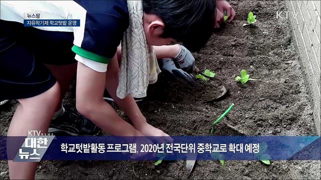자유학기제 학교텃밭 운영 [뉴스팜]