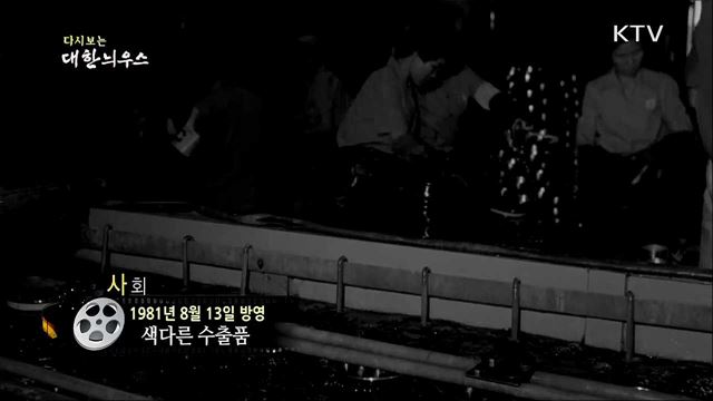 다시보는 대한늬우스 (81. 8. 13) 이미지
