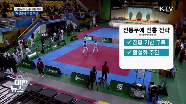 &#39;전통무예 진흥 기본계획&#39;···육성종목 지정 추진