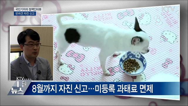 &#34;반려동물 8월까지 등록해야&#34;···어기면 과태료 [정책인터뷰]