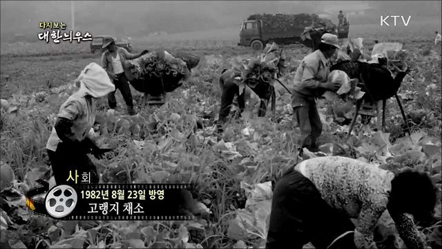 다시보는 대한늬우스 (82. 8. 23) 이미지