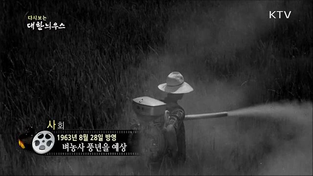 다시보는 대한늬우스 (63. 8. 28) 이미지