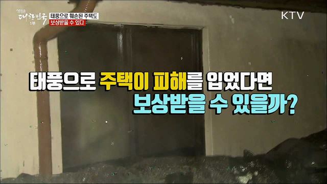 태풍으로 훼손된 주택도 보상받을 수 있다 [정책톡!돈이툭!]