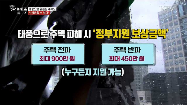 태풍으로 훼손된 주택도 보상받을 수 있다 [정책톡! 돈이툭!]