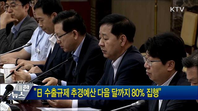 "日 수출규제 추경예산 다음 달까지 80% 집행"