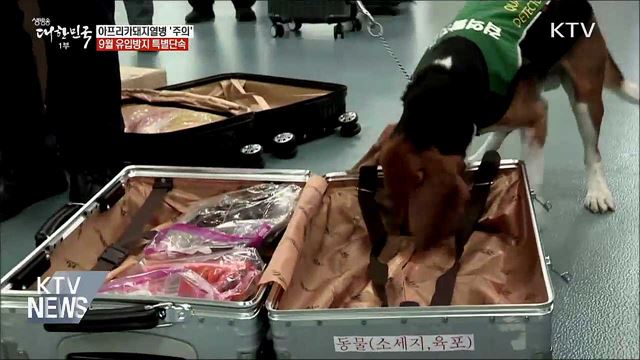 돼지열병 특별단속···&#34;해외 축산물 검역 강화&#34; 