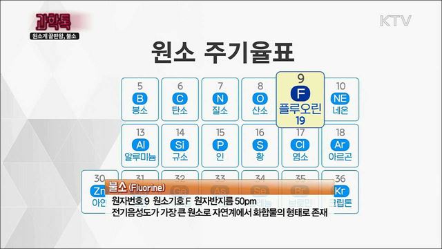 원소계 끝판왕, 불소