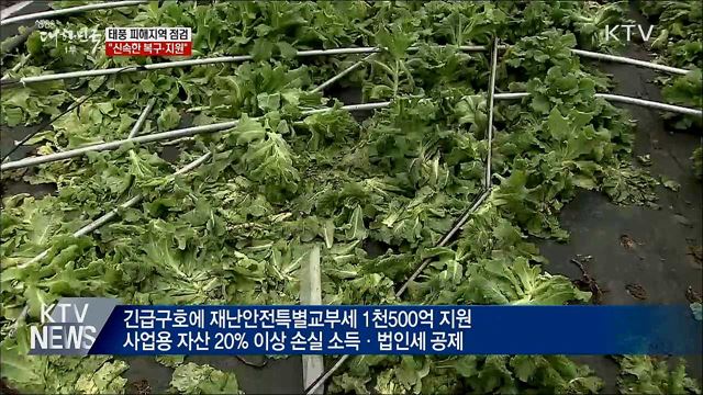 태풍 피해지역 점검···&#34;신속한 복구·지원&#34; 