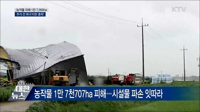 농작물 피해 1만 7,000ha···추석 전 복구지원