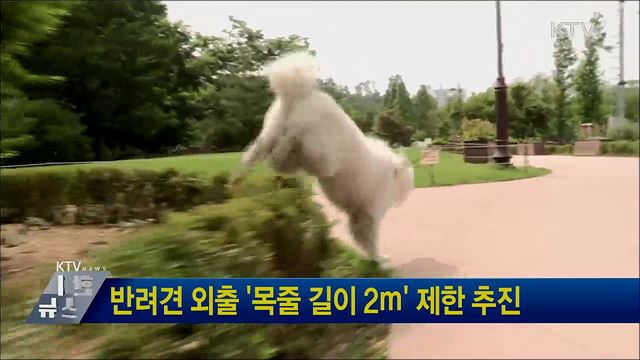반려견 외출 &#39;목줄 길이 2ｍ&#39; 제한 추진
