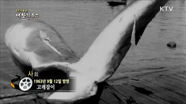 다시보는 대한늬우스 (63. 9. 12) 이미지