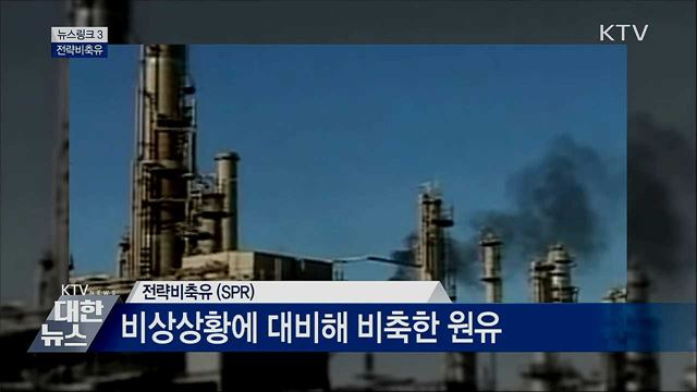 전략비축유  [뉴스링크]