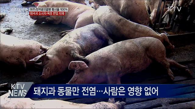 폐사율 100&#37;···외국서 소시지·육포 반입 자제