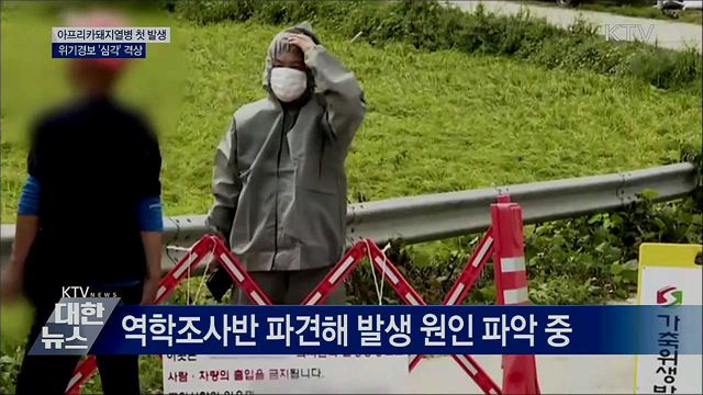 돼지열병 국내 첫 발생···위기경보 &#39;심각&#39; 격상