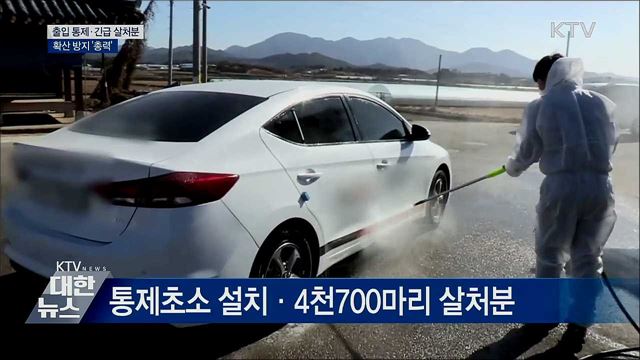 출입 통제·긴급 살처분···확산 방지 '총력'