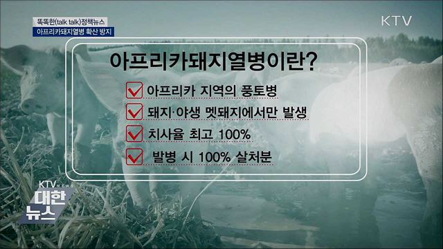아프리카돼지열병 확산 방지 [똑똑한 정책뉴스]