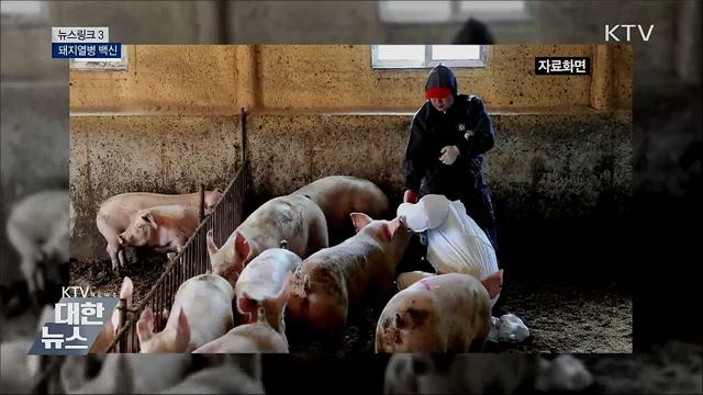 언론자유지수  [뉴스링크]