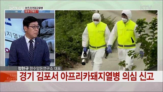 아프리카돼지열병 발생 현황과 향후 방역 대책은?