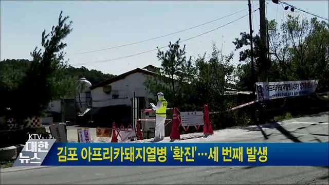 김포 아프리카돼지열병 '확진' ··· 세 번째 발생