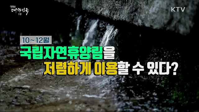 평일은 더 저렴하게 국립자연휴양림 최대 25&#37; 할인 [정책톡! 돈이툭!]