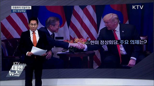 한미 정상회담 [유용화의 오늘의 눈]